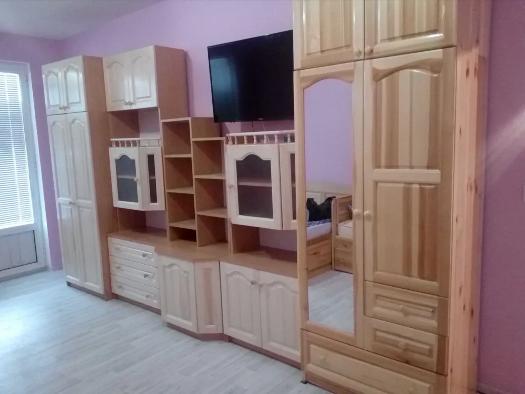 Секция Плевен